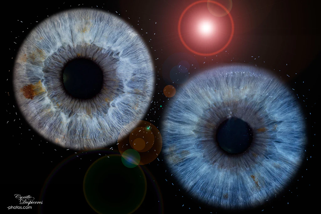 Composition de trois iris bleus avec effets lumineux